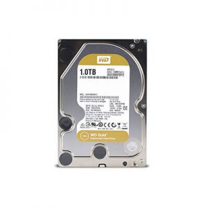 WD HDD Gold 1TB cho Server – Datacenter