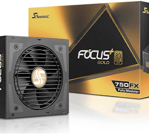 SEASONIC FOCUS PLUS FX-750 (750W 80 Plus Gold)