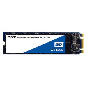 Ổ cứng SSD WD Blue 3D NAND 250GB M2