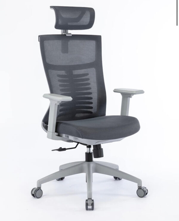 Ghế công thái học ergonomic WARRIOR – WEC502 GREY