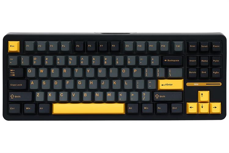 Bàn Phím Cơ Có Dây Akko TAC87 Black&Gold Mirror (USB Type-C)