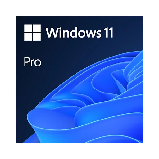 Phần mềm Microsoft Win Pro 11 64-bit All Lng PK Lic Online DwnLd NR (FQC-10572)